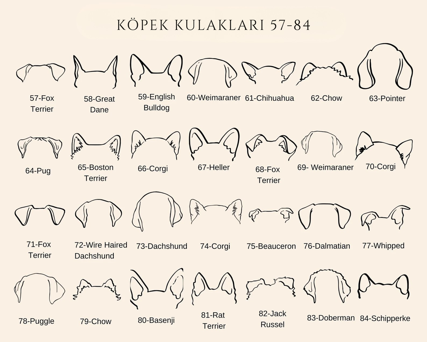 Custom Dog Ear Necklace