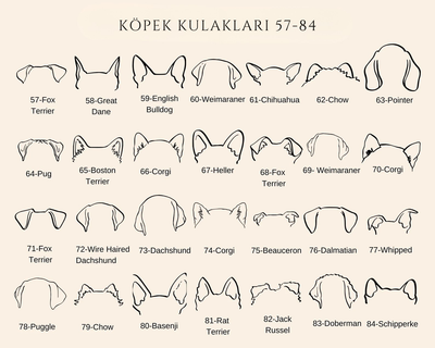 Custom Dog Ear Necklace